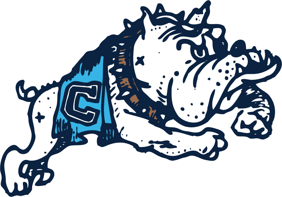 The Citadel Bulldogs 1969-1987 Secondary Logo diy iron on heat transfer